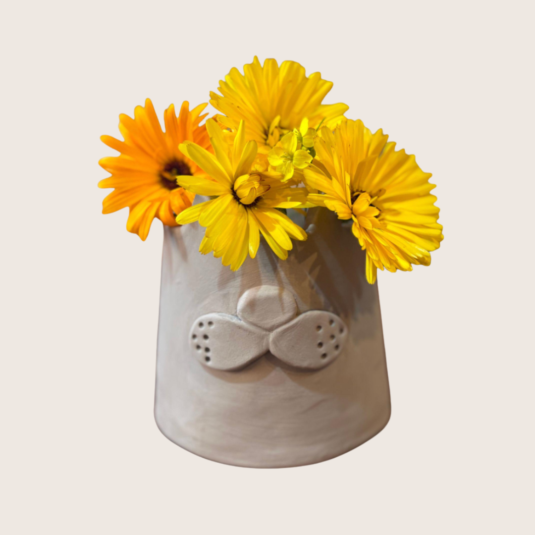 🌿 Planters & Garden