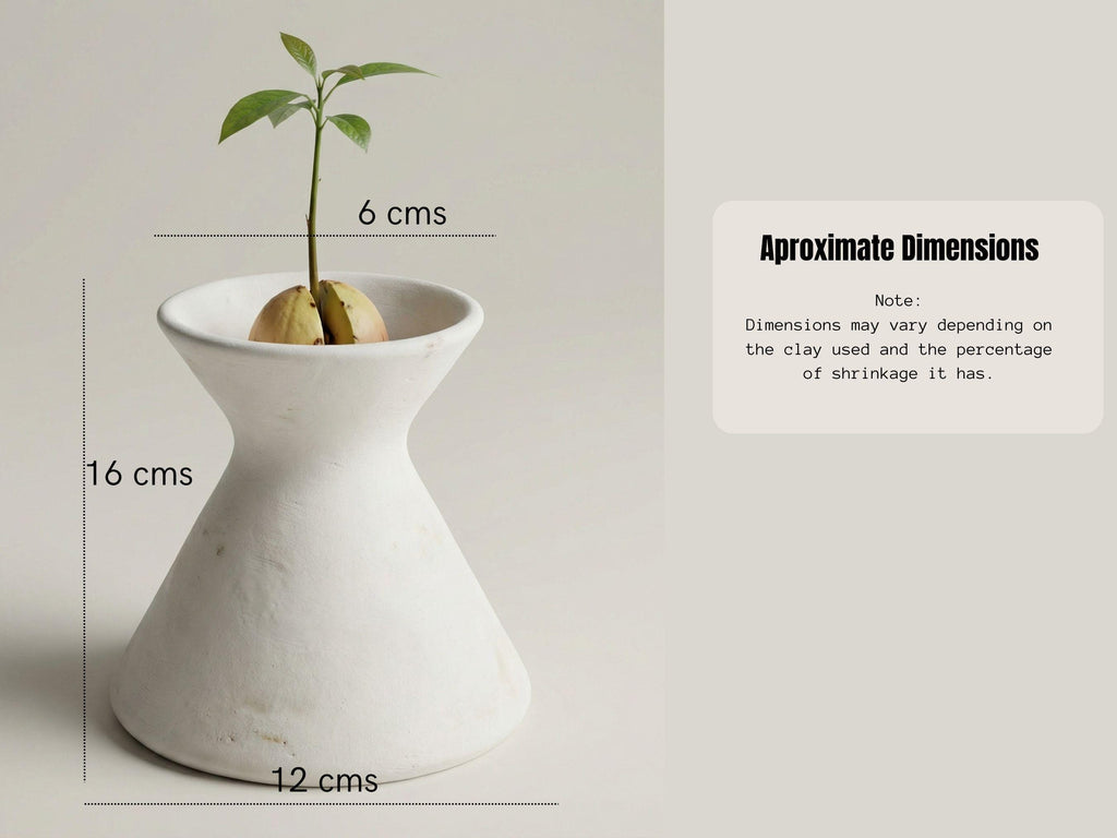 a small plant sprouting from a white ceramic vase, with dimensions provided in centimeters.