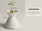 a small plant sprouting from a white ceramic vase, with dimensions provided in centimeters.
