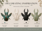 The image is an advertisement for decorating inspiration, featuring four different colored and styled insects or bugs, each with a description of the color and style.