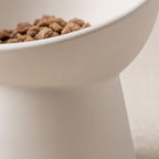 A white bowl filled with cat food is shown in the image.
