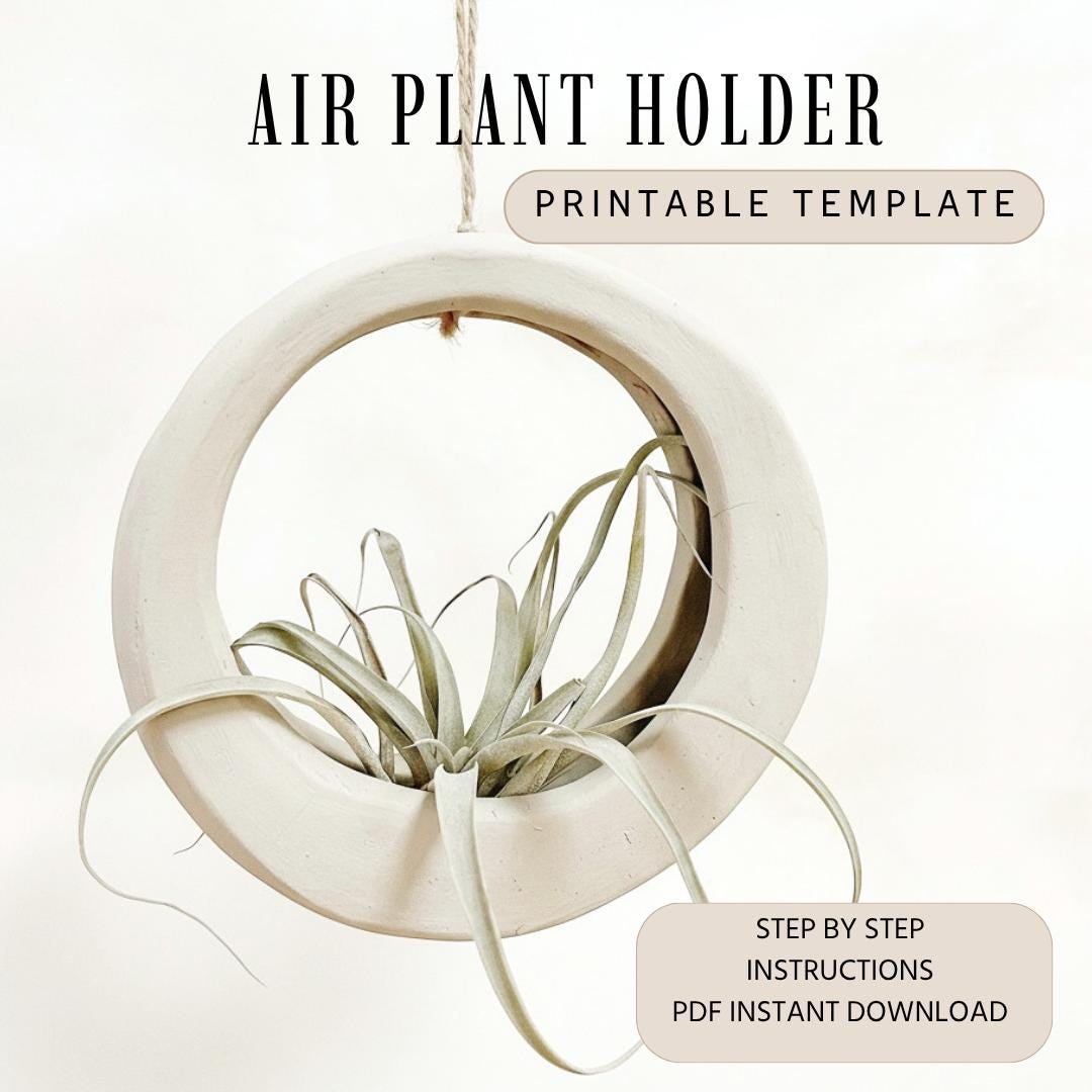 Air Plant Holder Template