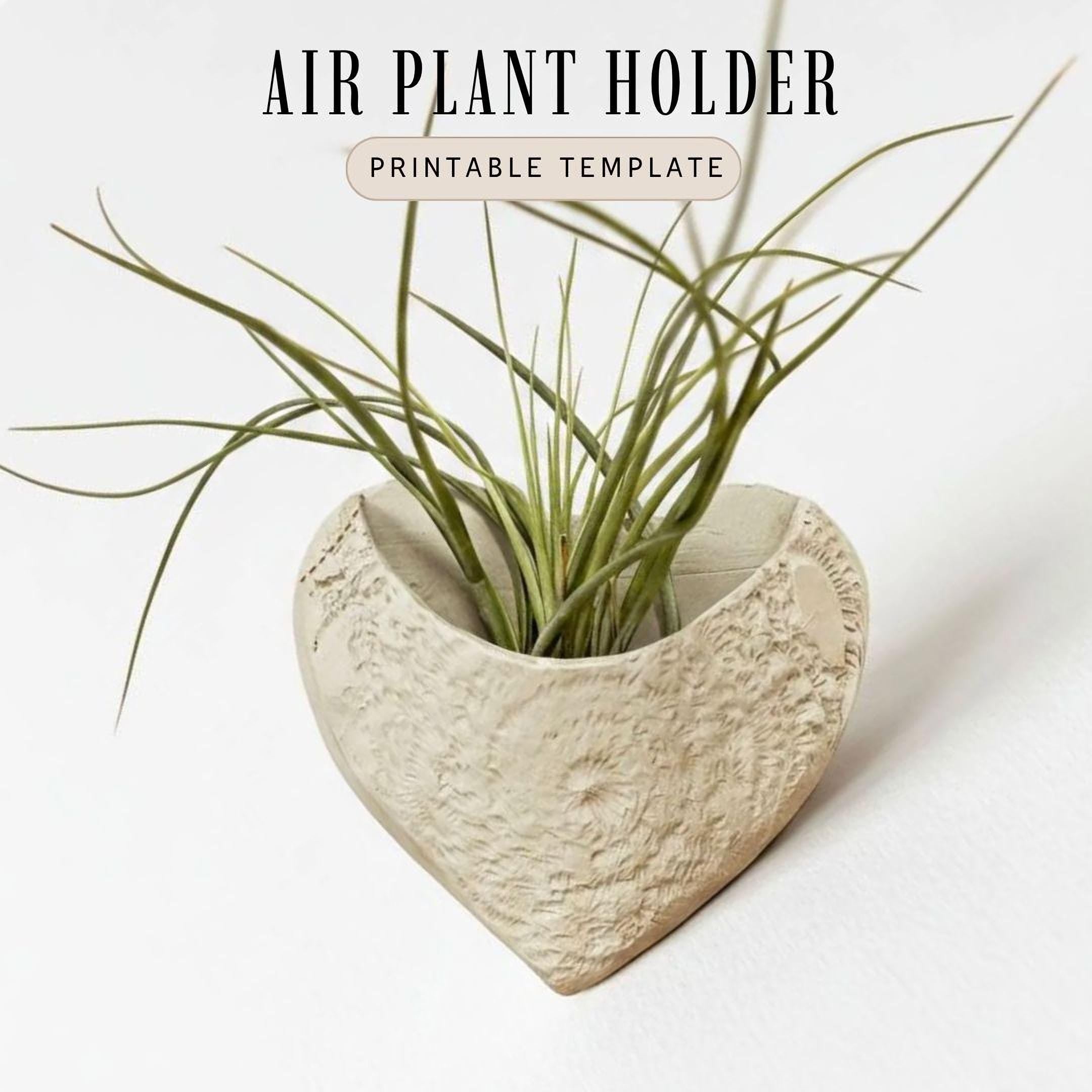 a heart-shaped ceramic planter with a plant growing in it, placed on a white background.