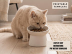 A light-colored cat is eating food from a white bowl on a wooden floor.
