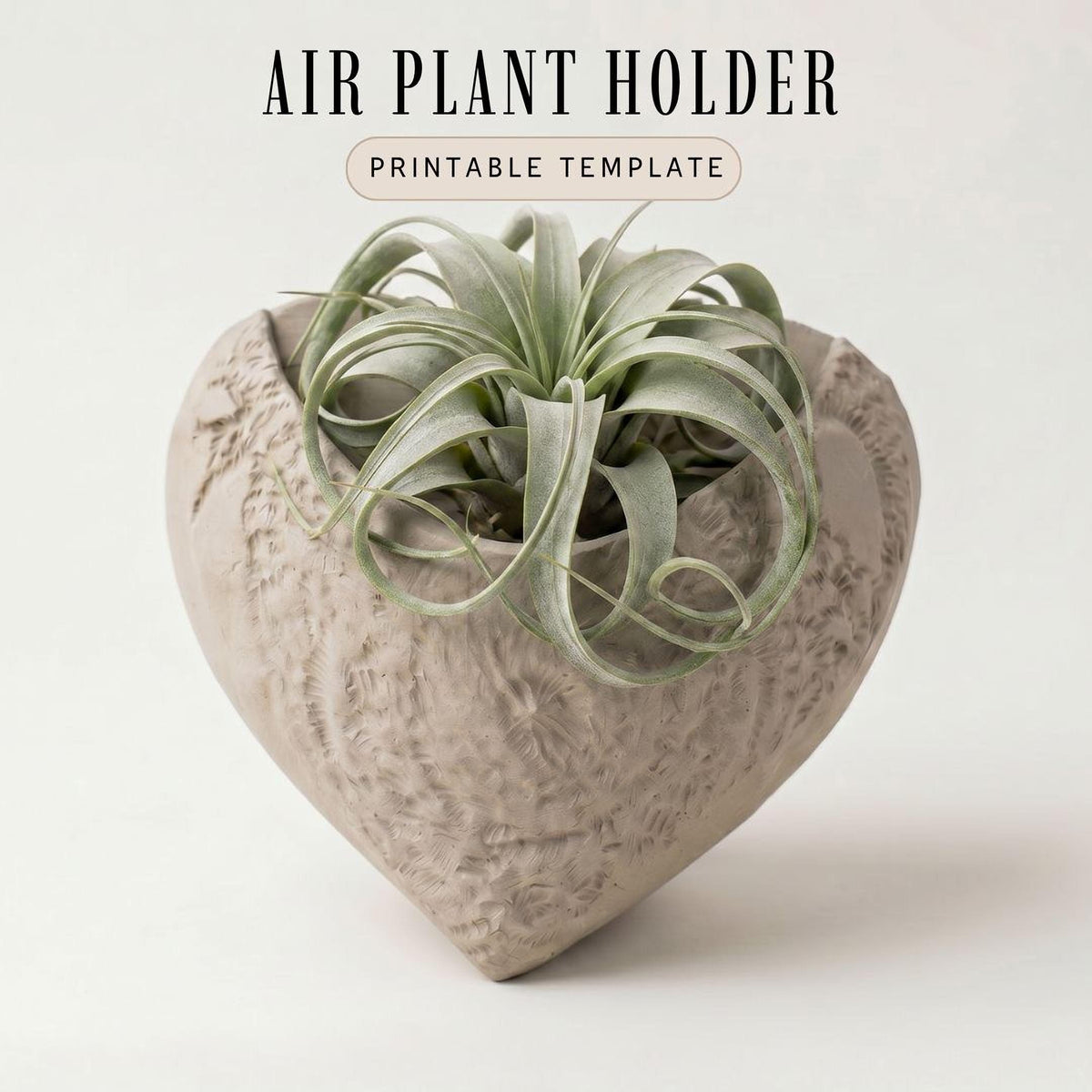 a heart-shaped ceramic planter with a plant growing in it.