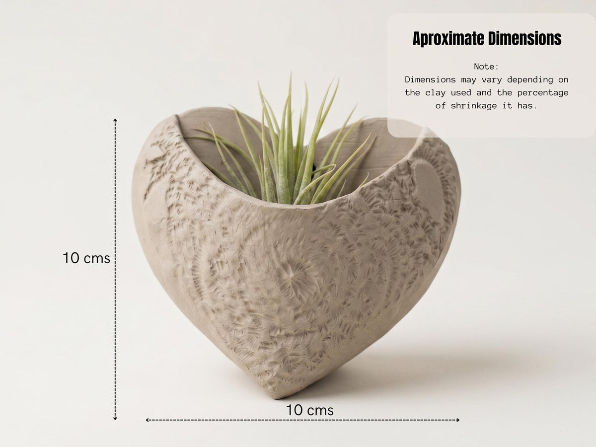 A heart-shaped ceramic planter with a plant growing in it, placed on a white background.