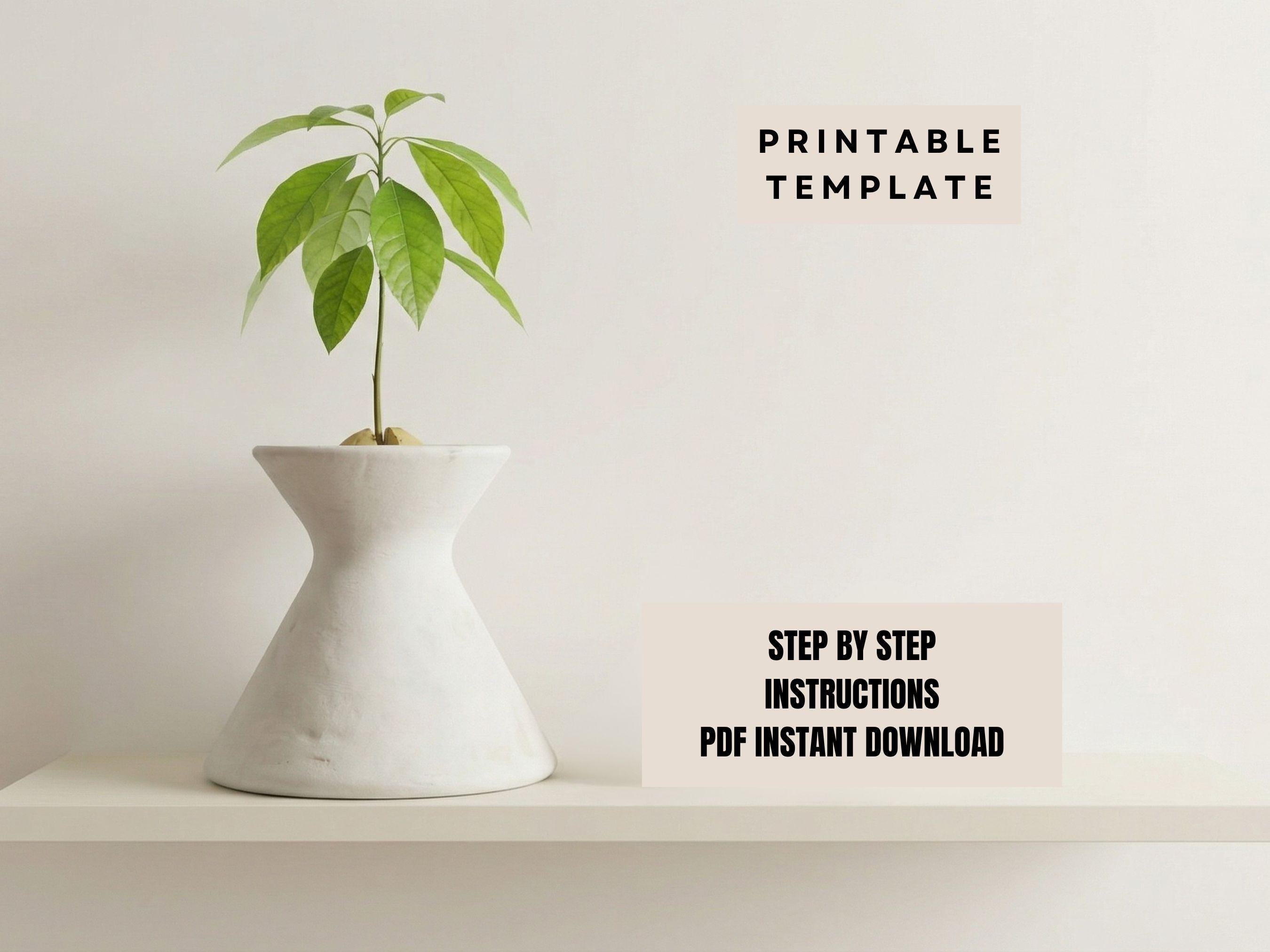 a small potted plant on a white shelf, with a "PRINTABLE TEMPLATE" sign above it.