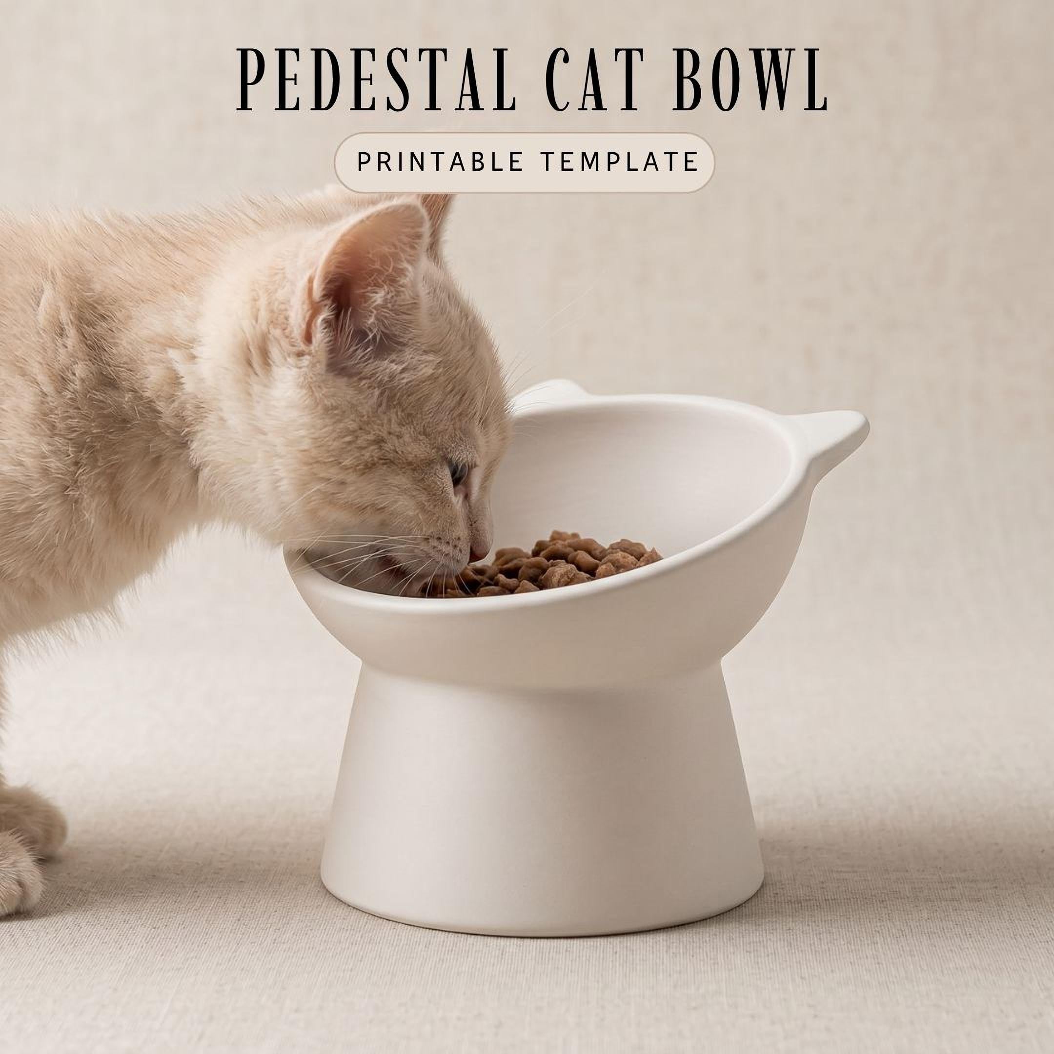 A light-colored cat is eating food from a white, round, cat bowl.