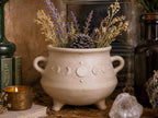 A white ceramic pot with a decorative design sits on a wooden surface, filled with a variety of dried flowers and a pine cone.
