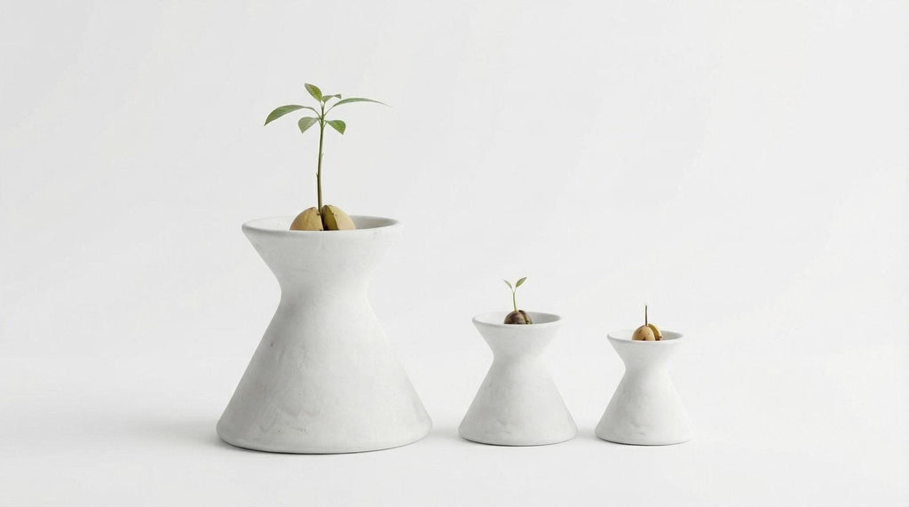 Three white ceramic vases of different sizes, each containing a small plant with a single leaf, arranged in a row against a white background.