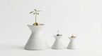 Three white ceramic vases of different sizes, each containing a small plant with a single leaf, arranged in a row against a white background.