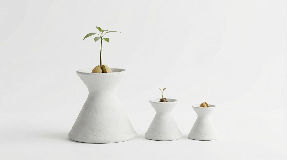 Three white ceramic vases of different sizes, each containing a small plant with a single leaf, arranged in a row against a white background.