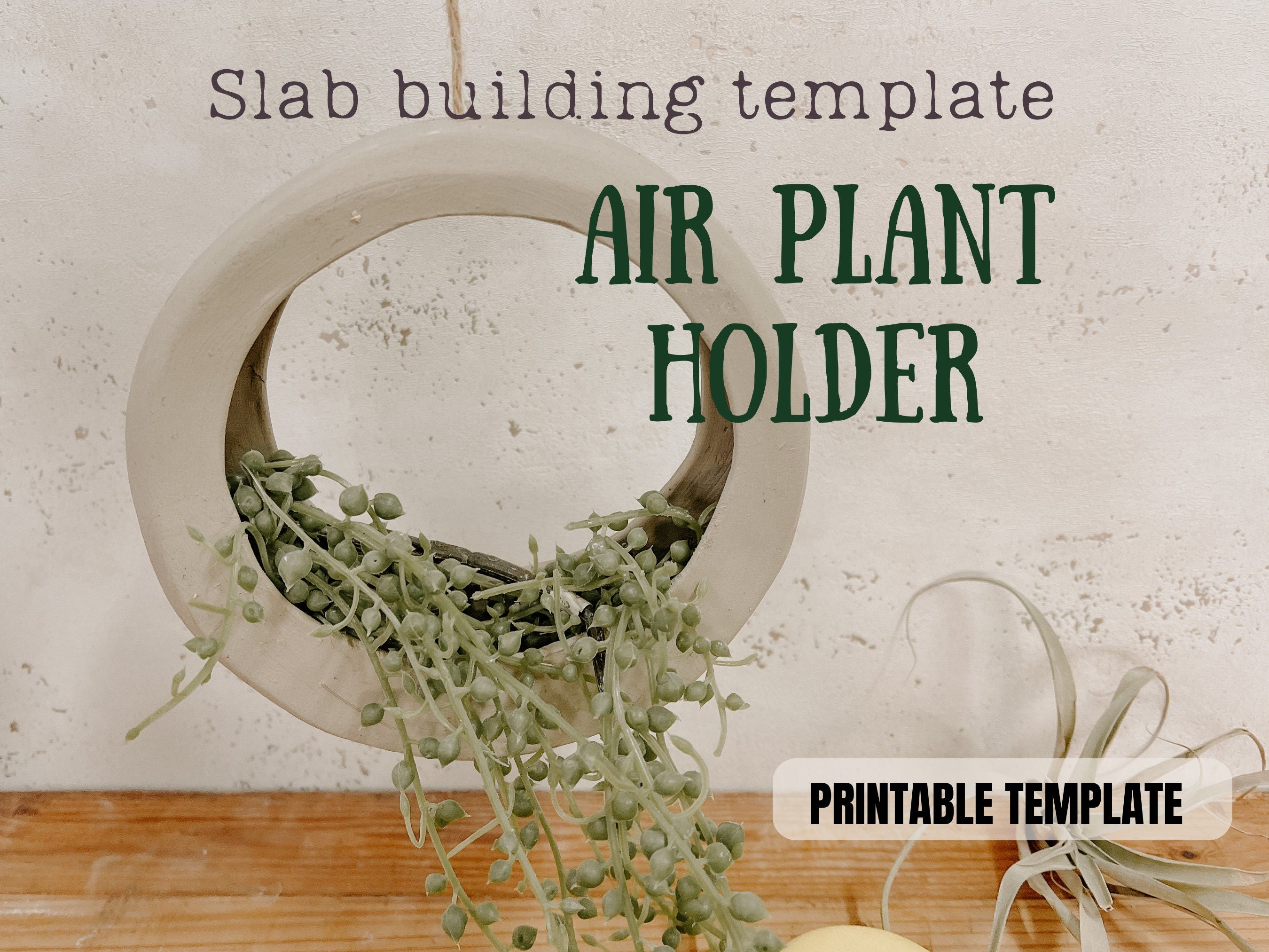Air Plant Holder Template