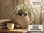 a potted plant with long, thin leaves in a heart-shaped vase, placed on a wooden surface next to a stack of books and a small white cup.