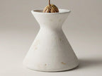 A white ceramic vase with a small plant growing in it, placed on a plain surface.