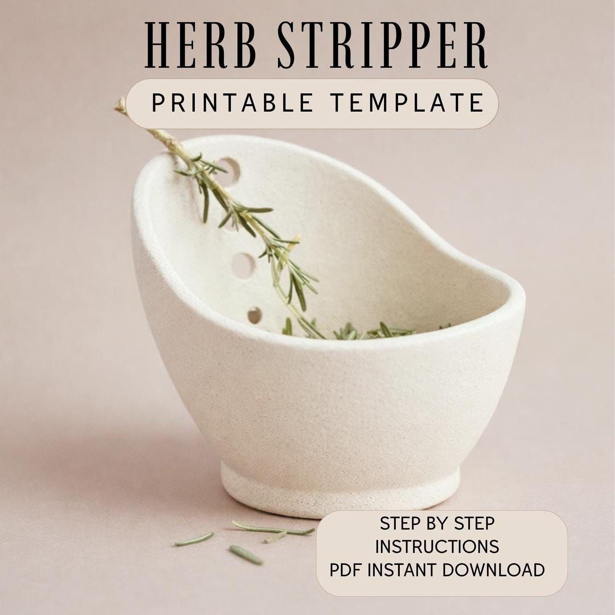 a white ceramic bowl with a sprig of rosemary inside, placed on a light-colored surface.