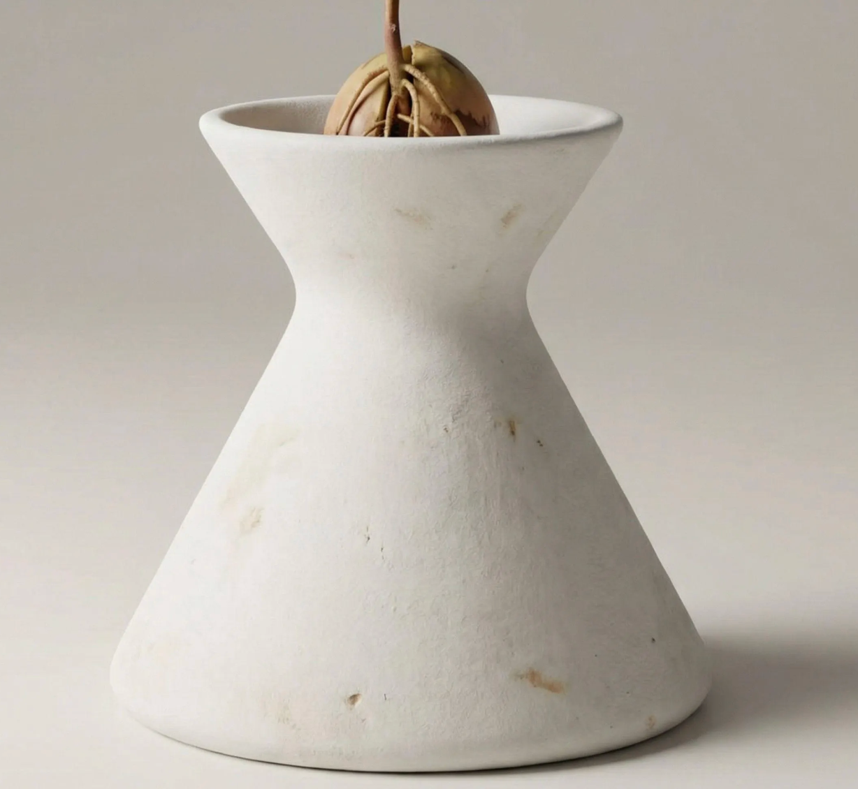 A white ceramic vase with a small plant growing in it, placed on a plain surface.