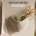 a heart-shaped air plant holder with a plant inside, mounted on a wall.