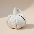 Ceramic Pumpkin Pottery Template: Halloween DIY Slab Building (PDF Pattern)