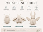The image is a collage of three different types of insects: a standard beetle, a flying beetle, and a stag beetle.