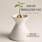 a white, conical-shaped vase containing a small plant with green leaves, placed on a plain background.