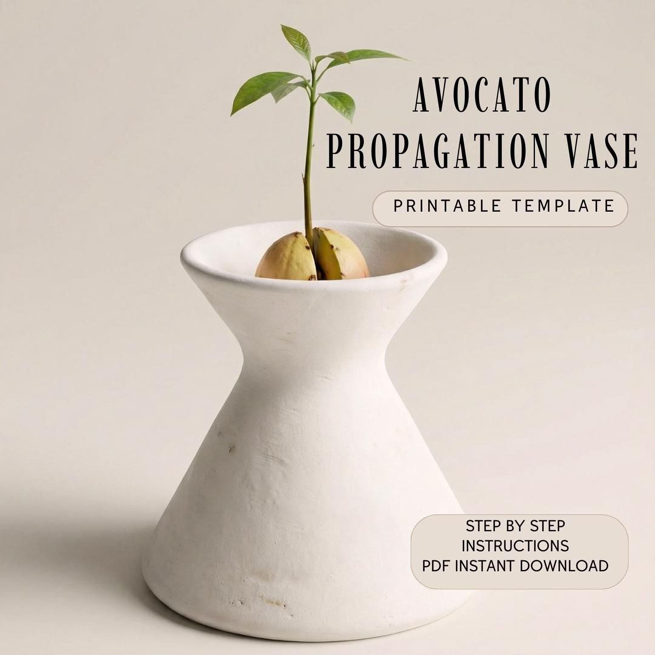 a white, conical-shaped vase containing a small plant with green leaves, placed on a plain background.