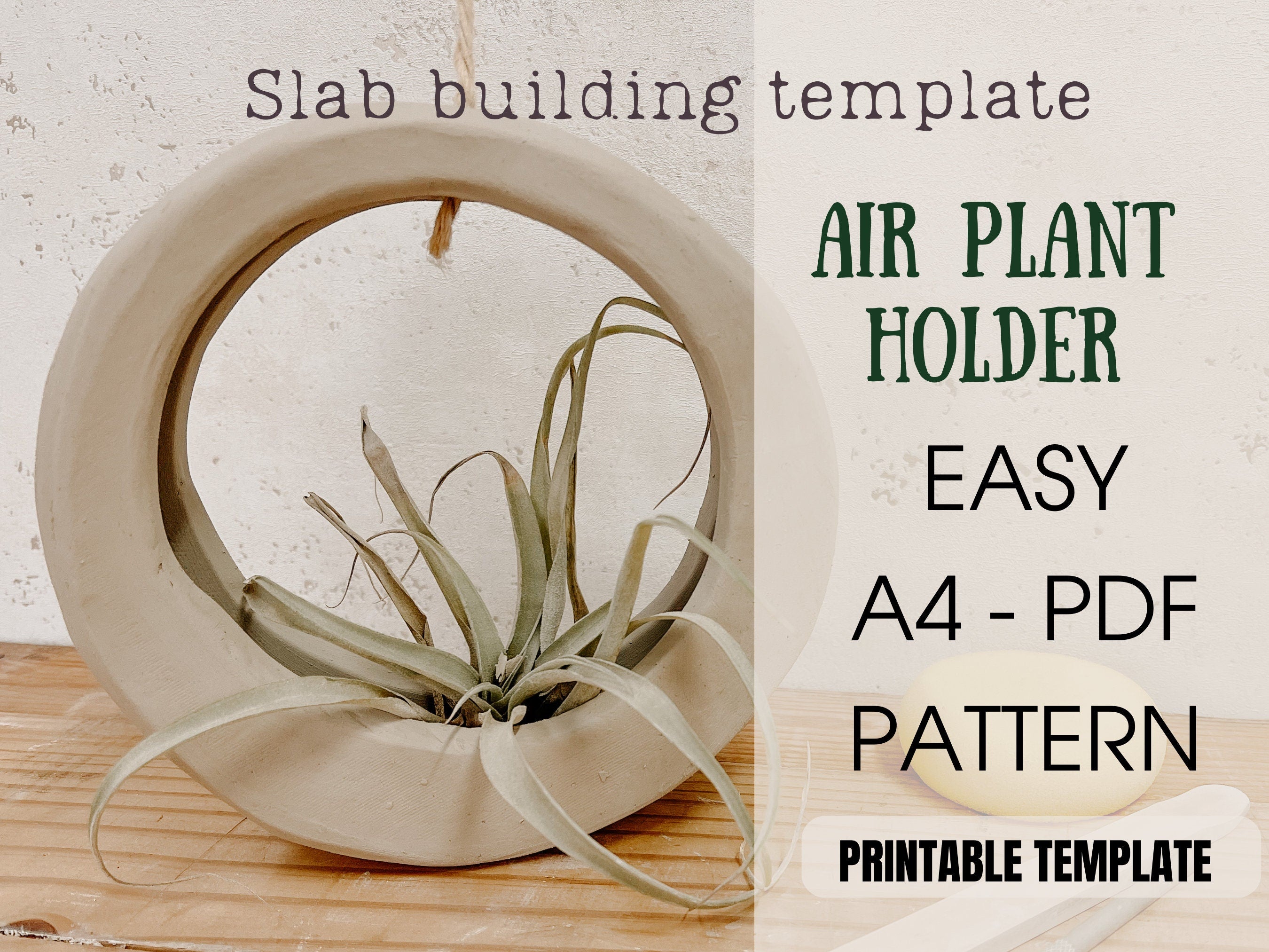 Air Plant Holder Template