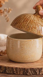 Acorn Jar Pottery Template | Fall pottery PDF Slab Building Pattern