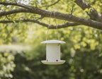 Bird Feeder Template